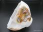 Preview: Jugendstil Lampenschirm gebraucht, Glas opal weiß mit Blumendekor Blumengarten, D: 19cm, H: 13cm, Griff-Rand 8cm liegend