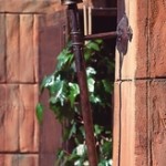 Wandleuchte WL 3420 H=195cm B=32cm T=42cm 1xE27/100W Glas kristallmatt