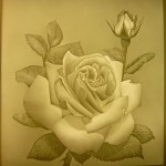 PLP2275 Rose  15x15cm
